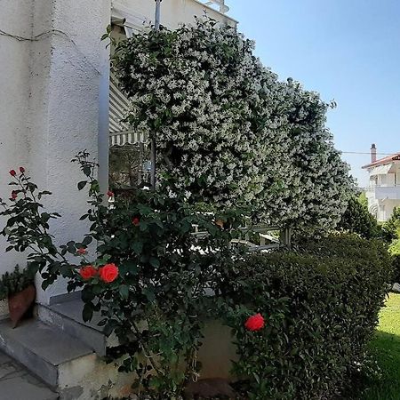 Kalyves Polygyrou Kleo House Kalives Polygyros Halkidiki 빌라 외부 사진